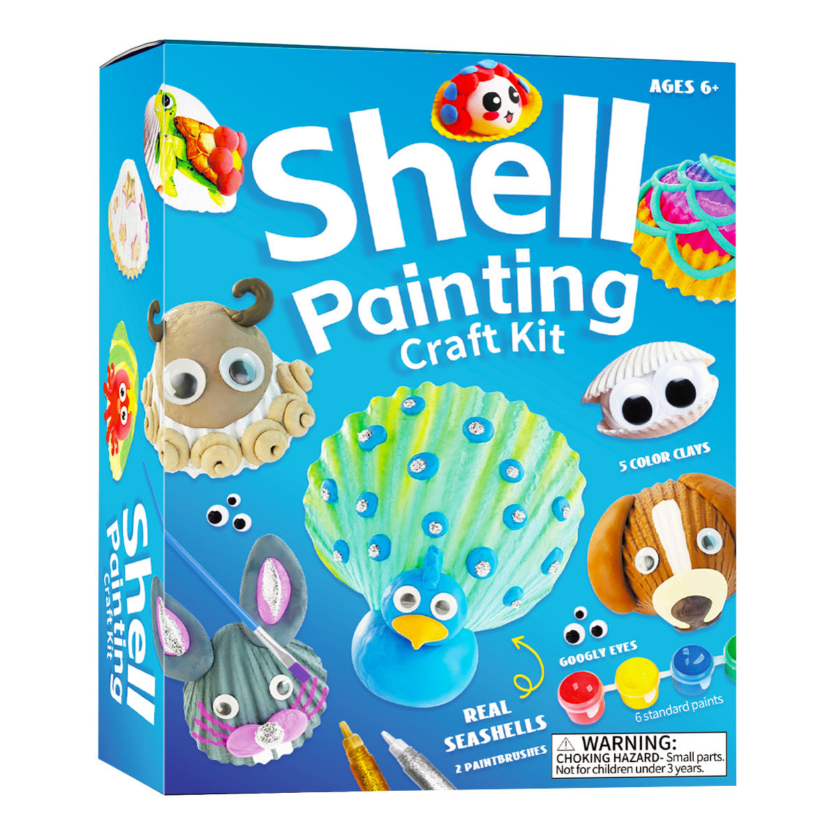 Shell Painting Craft Kit for Kids