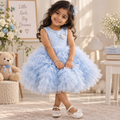 Disney-Inspired Enchanted Mesh Summer Dress for Baby Girls - 2026 Collection