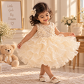 Enchanted Princess Summer Gala Dress - 2025 Disney-Inspired Birthday & Performance Gown for Girls
