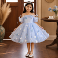 Fairy Princess Gown