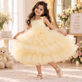 Fluffy Gauze Cake Dress