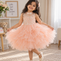 Girls Peach Floral Embroidered Tulle Ball Gown