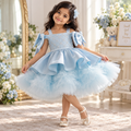 Light Blue Princess Evening Dress – Birthday, Piano Performance & First Birthday