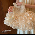 Disney-Inspired Enchanted Princess Summer Birthday Dress for Toddlers - Premium Heirloom Party Gown