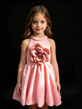Disney-Inspired Enchanted Pink Floral Princess Dress for Baby Girls - Perfect Birthday & Flower Girl Attire