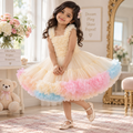 Rainbow Tutu Princess Dress