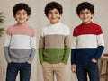 Boys Color Block Mock Neck Ribbed Knit Sweater
