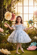 Fairy Princess Gown